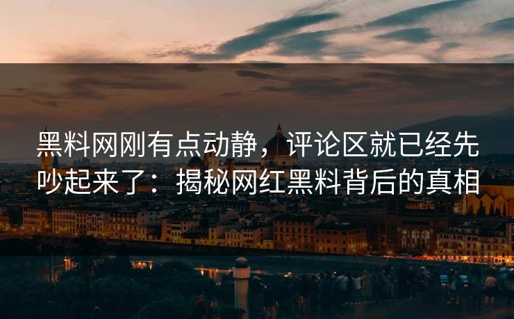 黑料网刚有点动静，评论区就已经先吵起来了：揭秘网红黑料背后的真相