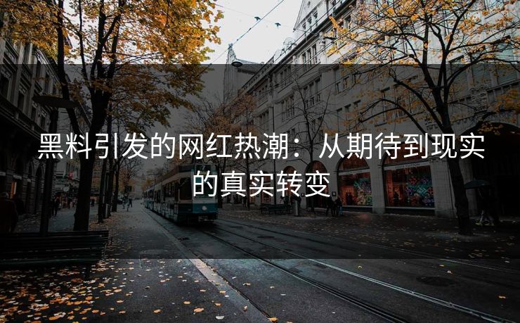 黑料引发的网红热潮：从期待到现实的真实转变